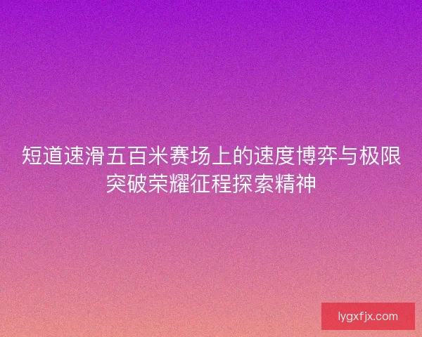 短道速滑五百米赛场上的速度博弈与极限突破荣耀征程探索精神